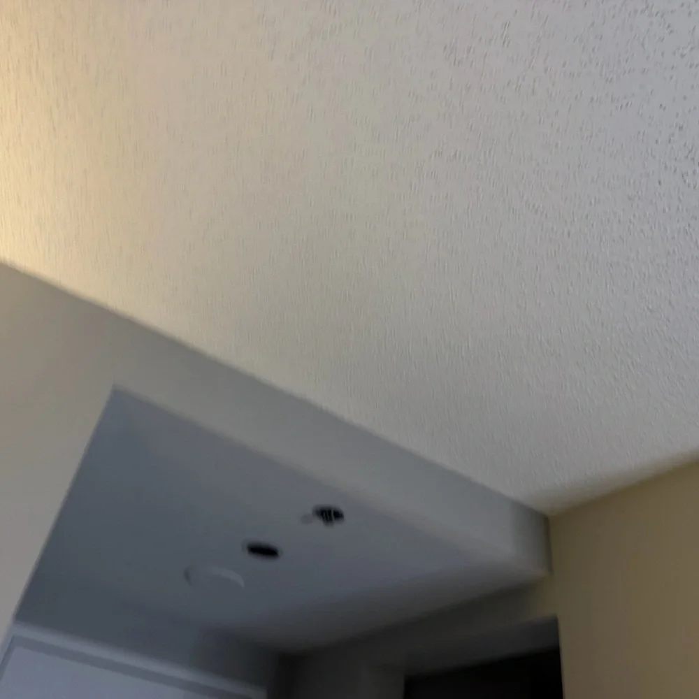 Naturalizer Black Strappy Heels Size 9 (has damage) dirty will clean b4 ship - Picture 9 of 11